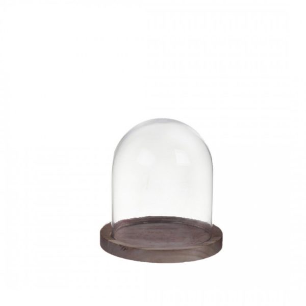 vase contenant fleurs séchées cloche plantes