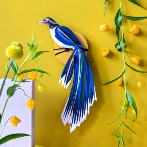 deco ambiance plumes oiseau coloré