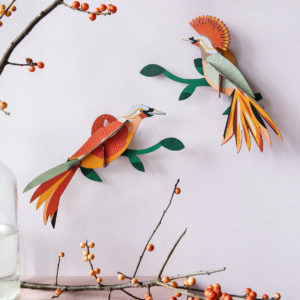 oiseaux branches colorés petits