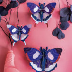papillons violet trois petits