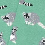 chaussettes racoons jimmy lion