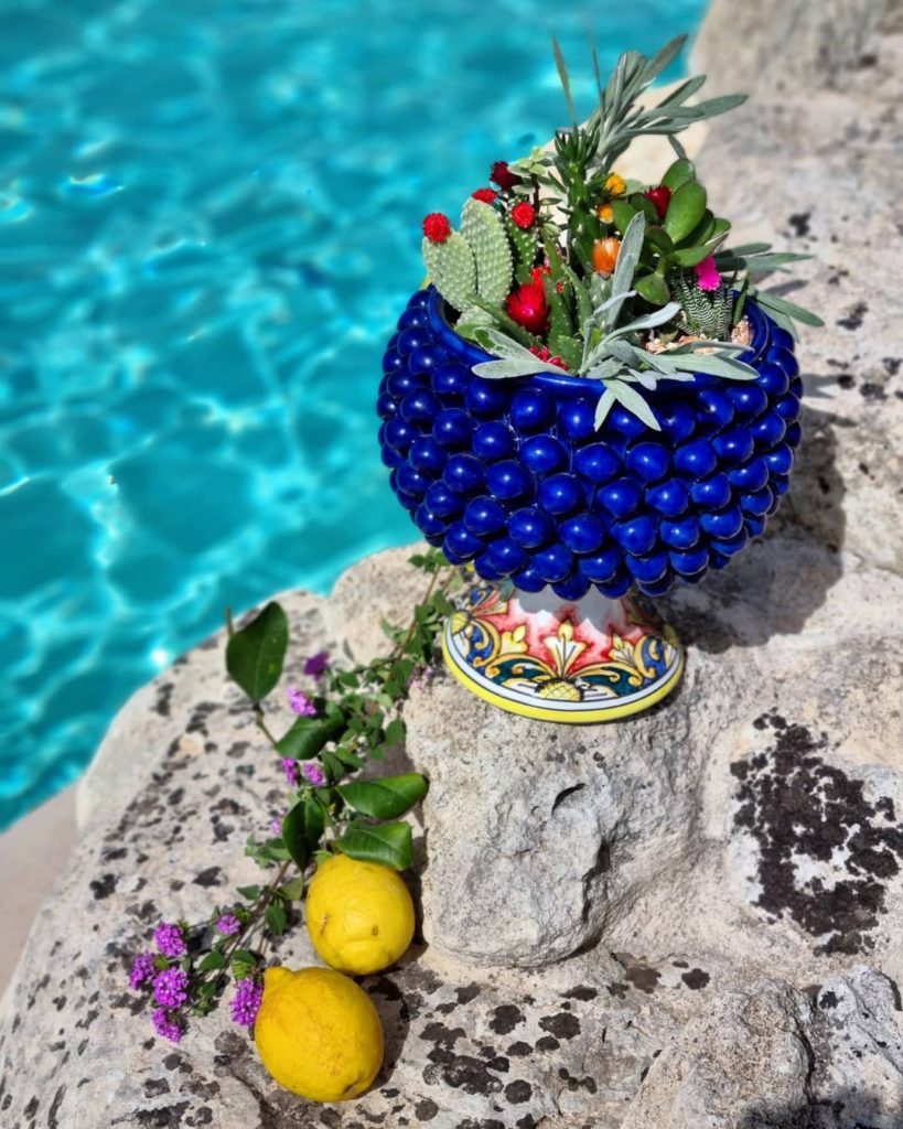 the blond cactus insta pot bleu et assortiment de petites plantes